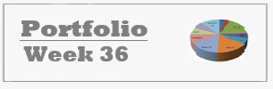 Week 313- Portfolio Model