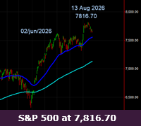 Weekly Summary