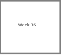 Weekly Summary